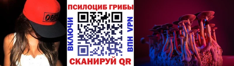 Псилоцибиновые грибы мицелий  Купить  Светлоград 