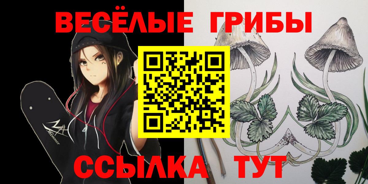 Псилоцибиновые грибы прущие грибы  Вход с VPN  Светлоград  Псилоцибиновые грибы мицелий 