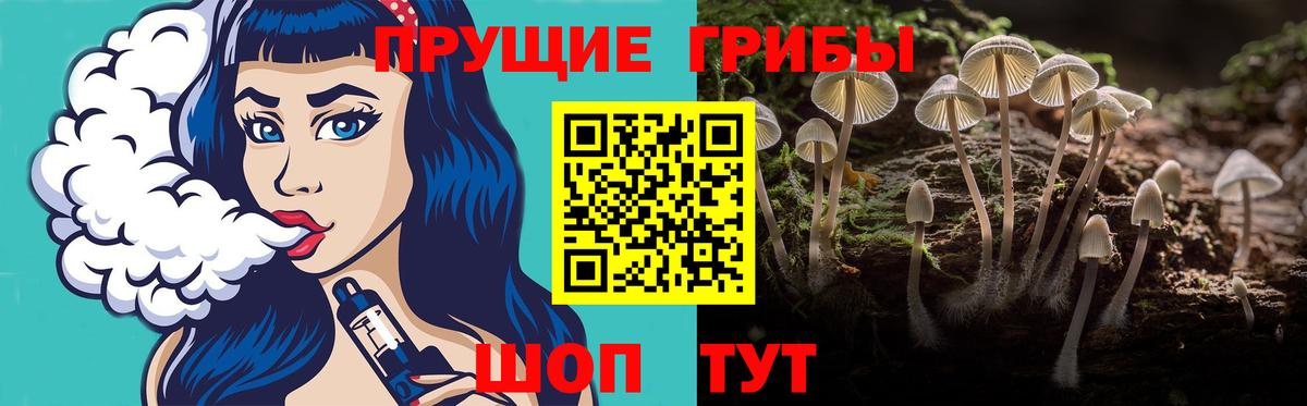 Галлюциногенные грибы Psilocybine cubensis  Светлоград 